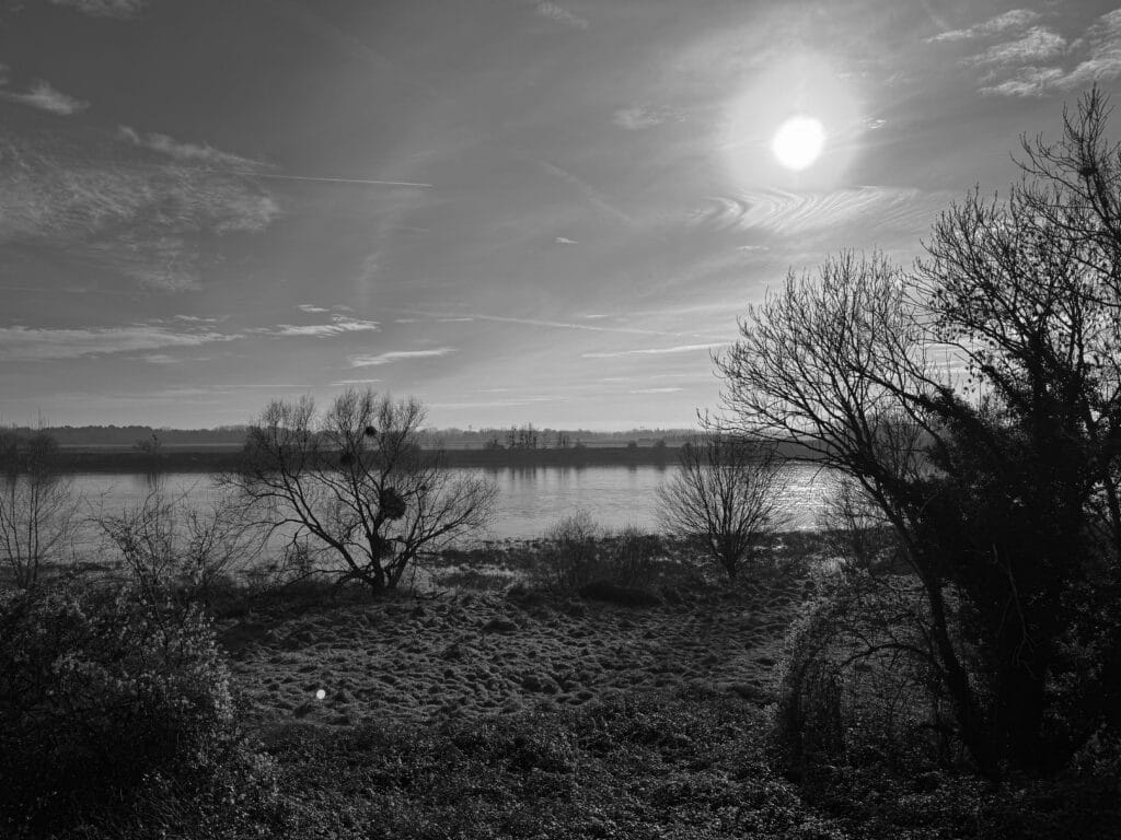 View of the river on a quiet day.