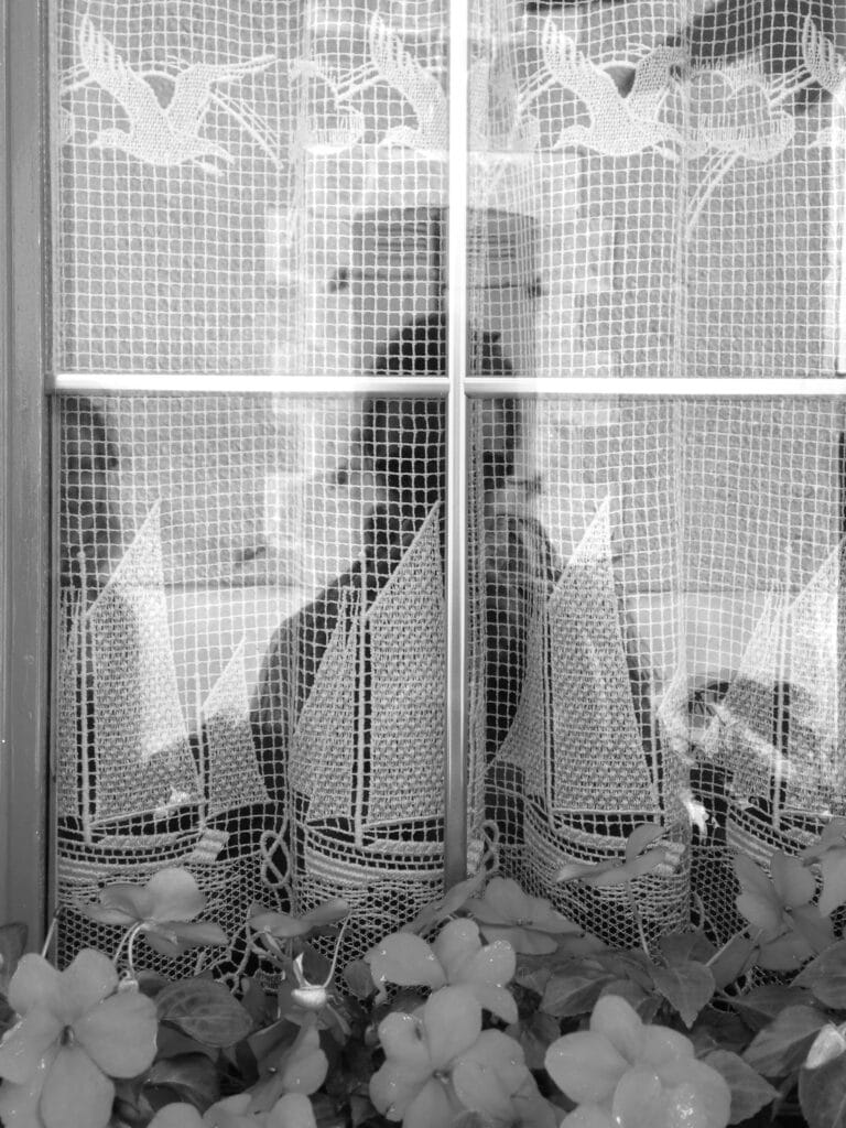 Self-portrait of the photographer reflected in a window with pretty crochet curtains featuring drawings of boats and seagulls, with little geranium flowers in front.