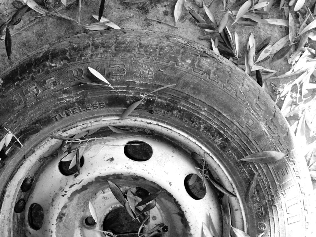 Olive leaves fallen on a spare wheel in the warehouse where olives are sorted.