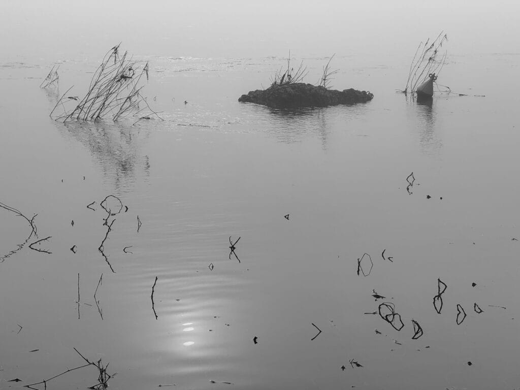 Details of small grasses in the water near the riverbank and their reflections in the sunlight lost in the mist.