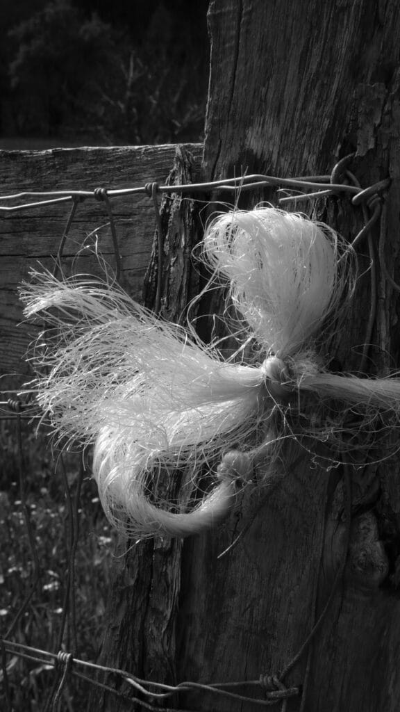 Very pretty knot of string on a fence.