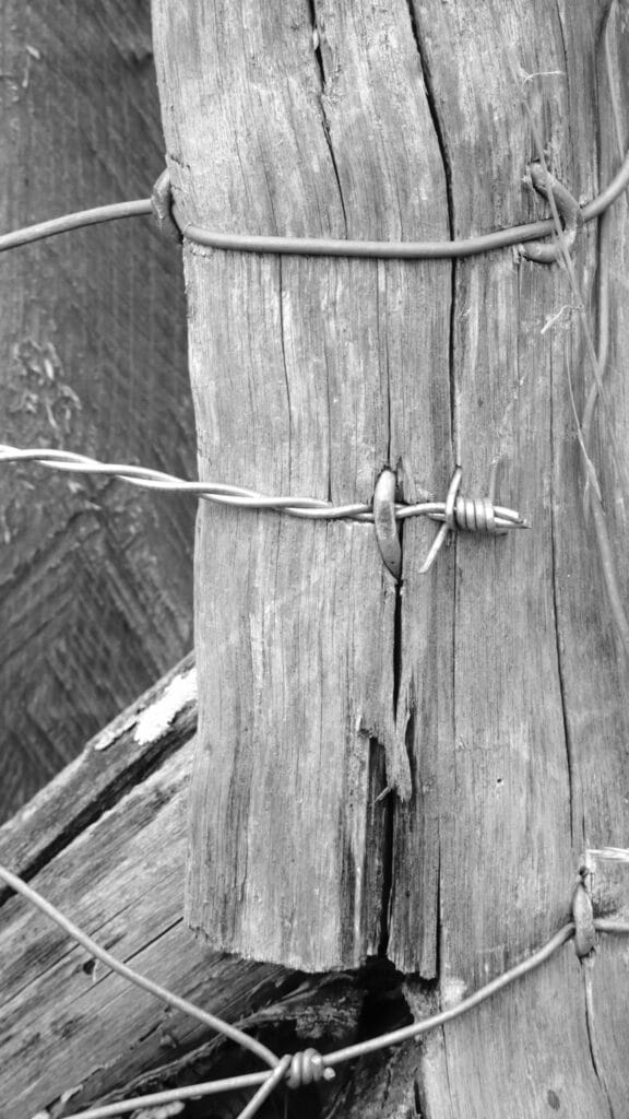 Many simple wires and barbed wires fixed to a fence post with many staples.