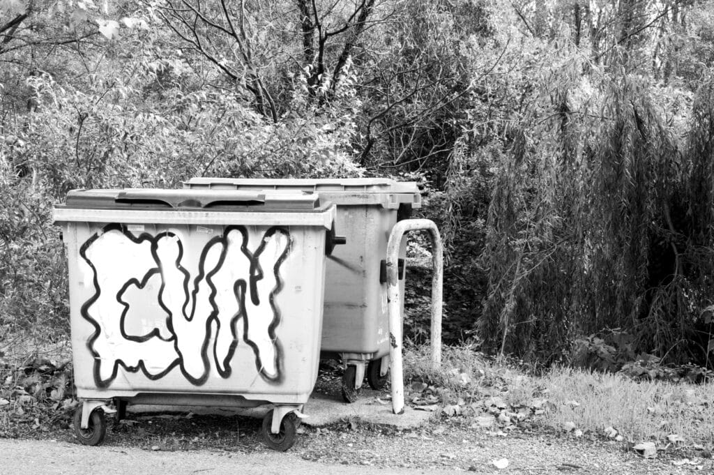 Two wheelie bins by the roadside.