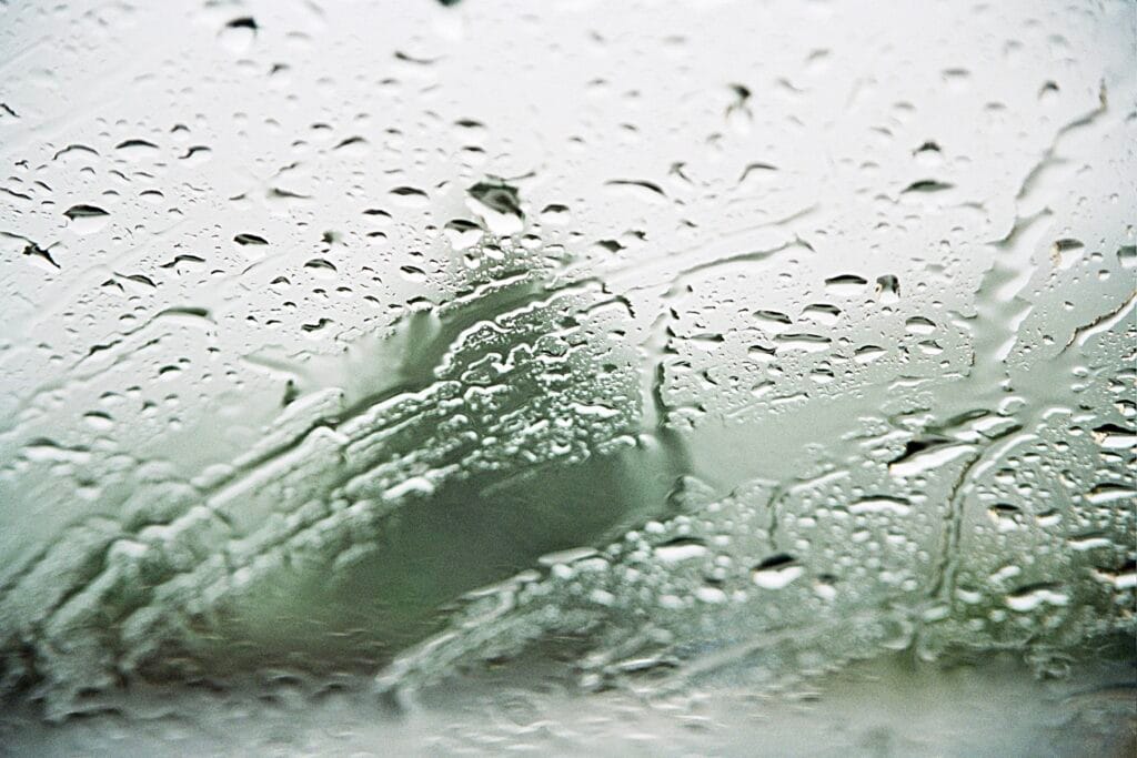 Rain on a car windshield, with blurred vegetation and a white sky in the background.