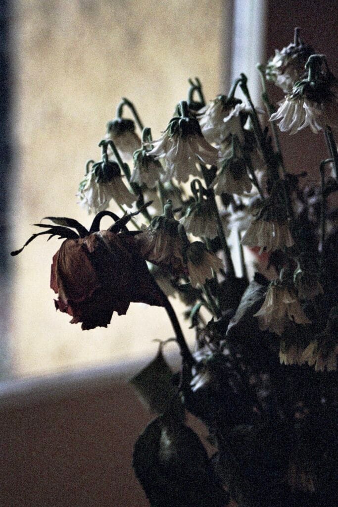 A bouquet of wilted flowers in front of a window, backlit and underexposed.