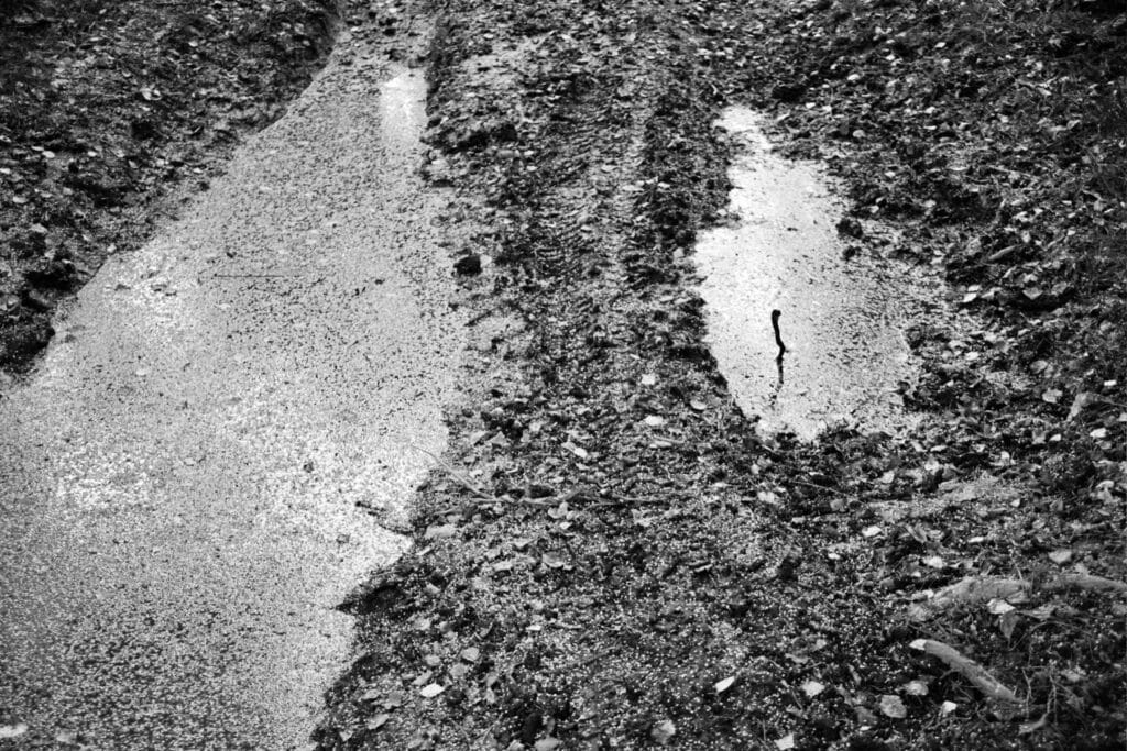 Ruts filled with water on a muddy track, all covered in fallen leaves.