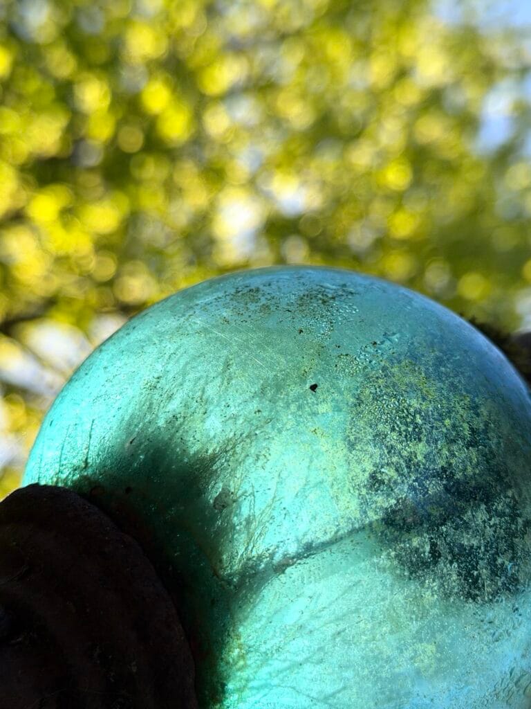 A decorative glass ball in the garden, backlit by the sun, with a tree in the background.