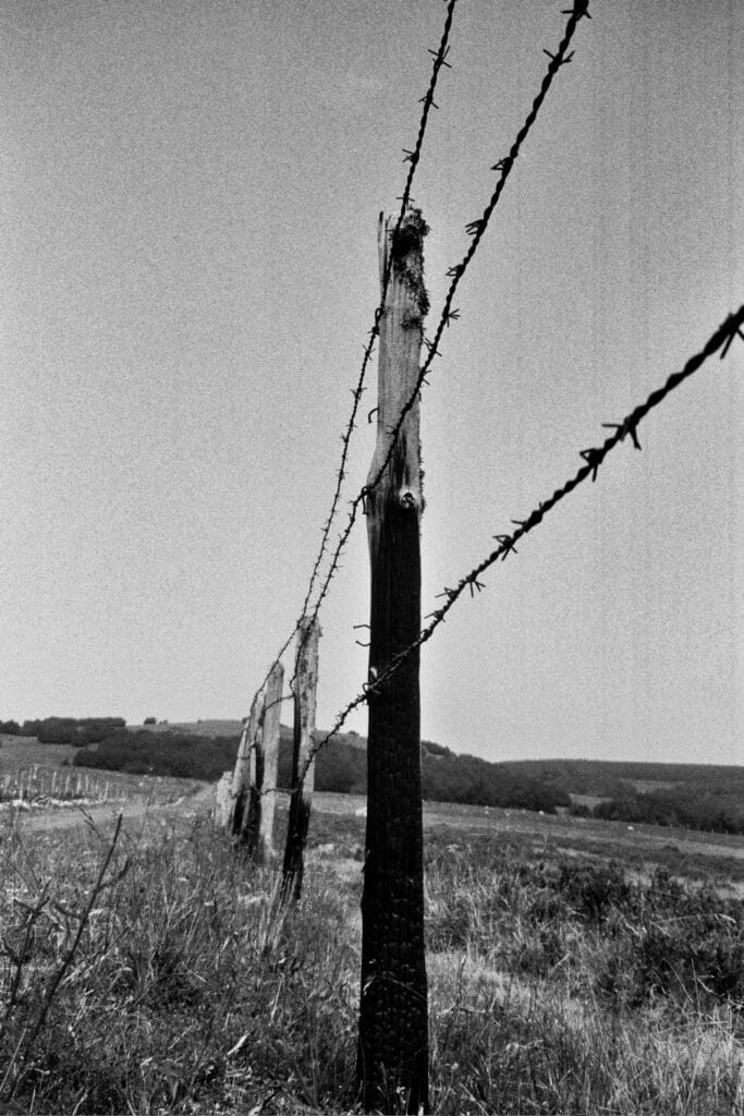 A barbed wire fence shot from below.