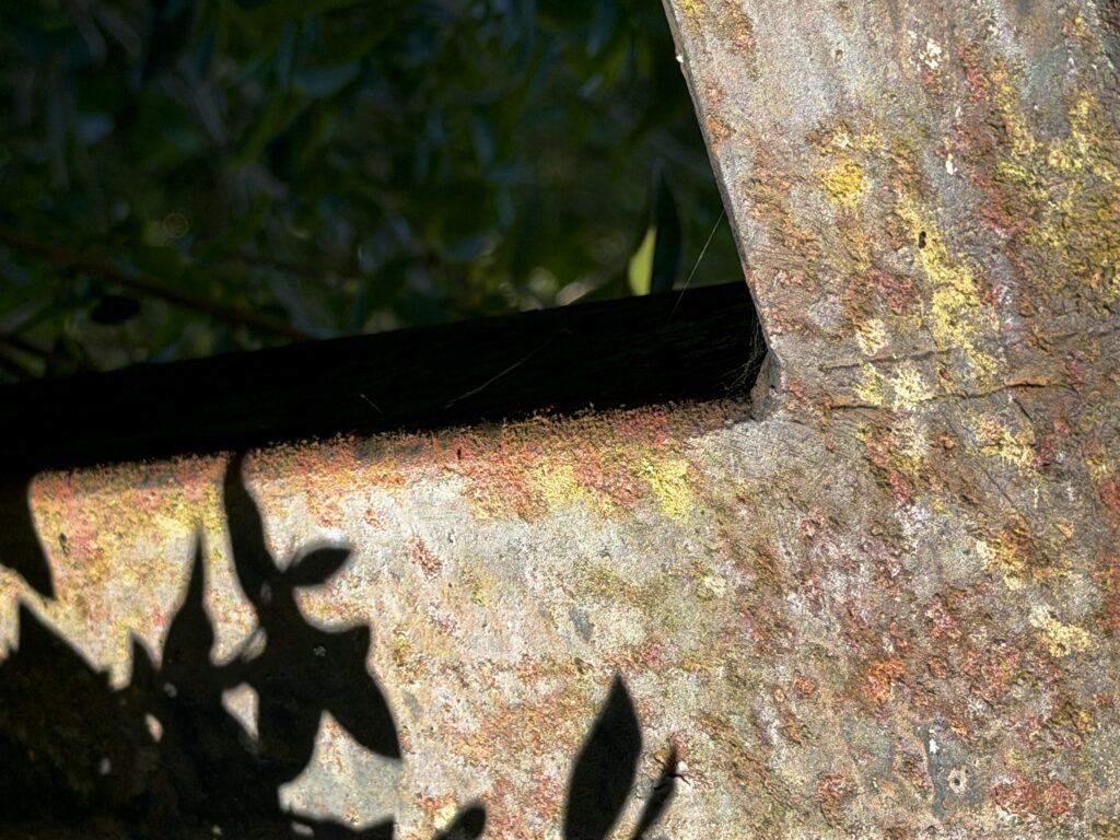 Shadows of leaves on a rusty metal bar in the setting sun.