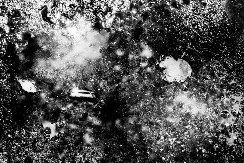 Sunlight reflecting off a puddle on the pavement, in which dead leaves and other debris are floating.