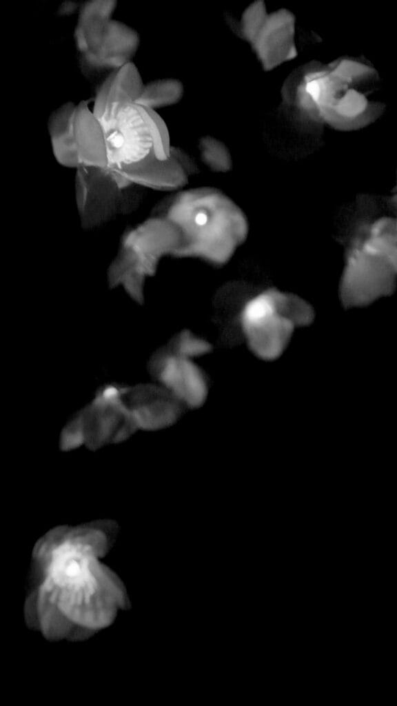 A lamp made from artificial flowers, illuminated against a black background.