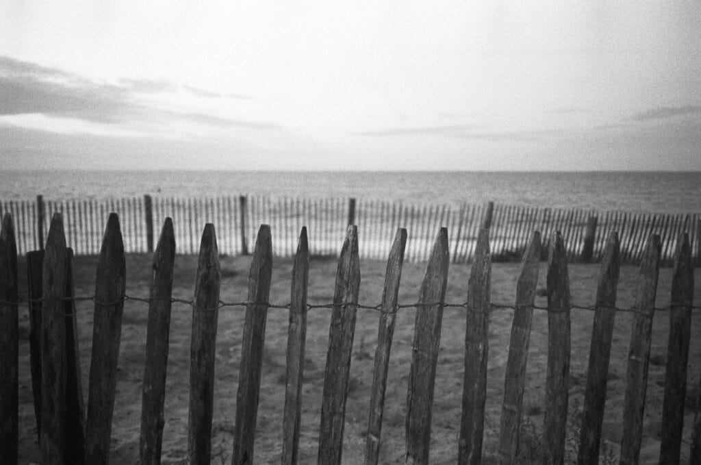 View of the sea from the dune enclosed by a split stake fence.
