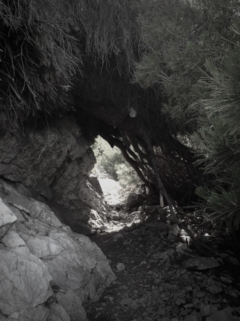 A narrow stretch of stony path between a rock face and pine trees leaning against it.