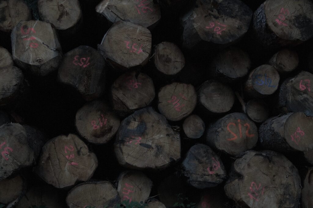 A stack of logs, seen from the front.