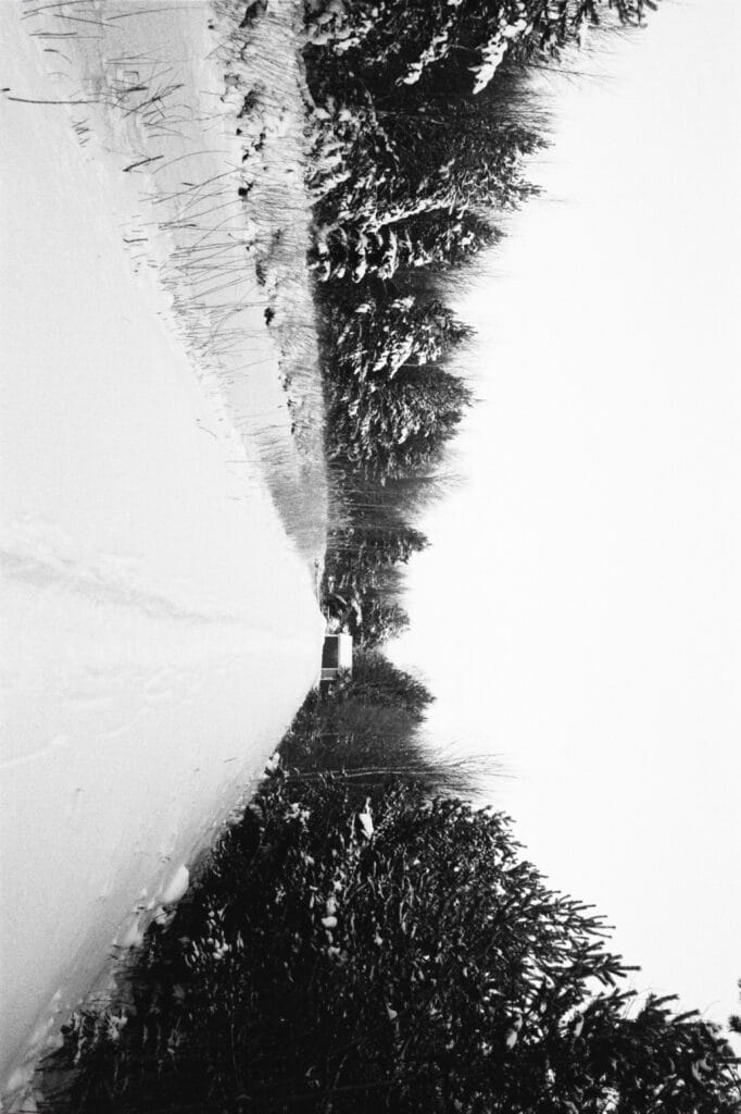A path lined with fir trees, beneath a thick layer of snow and a white sky, leading to a cabin. The picture is rotated by 90 degrees.