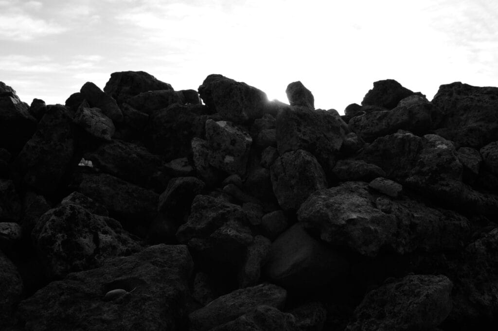 A close-up of the top of a scree, backlit by the setting sun.