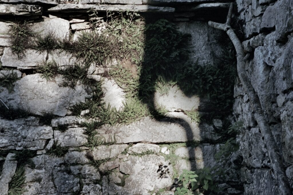 A wall of stones, overgrown with vegetation, with the roof supported by a wooden pole.