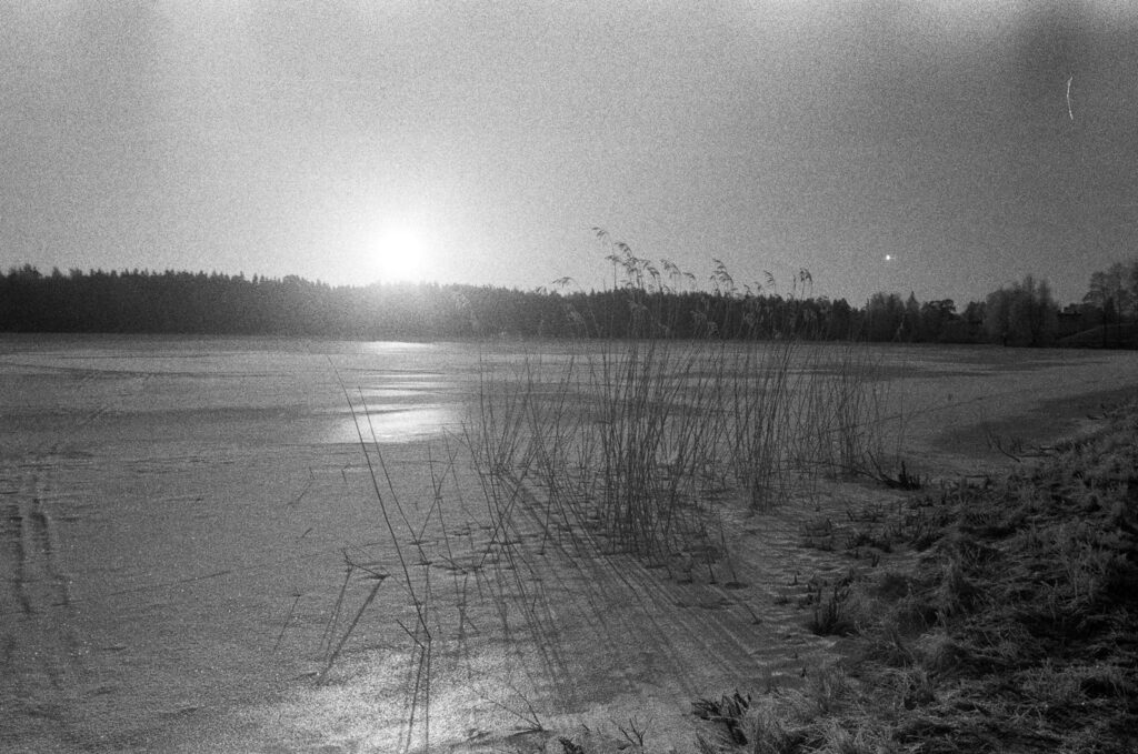 A view of a frozen lake at sunrise, with vegetation on the bank from which the photograph was taken and a dark forest on the opposite bank.