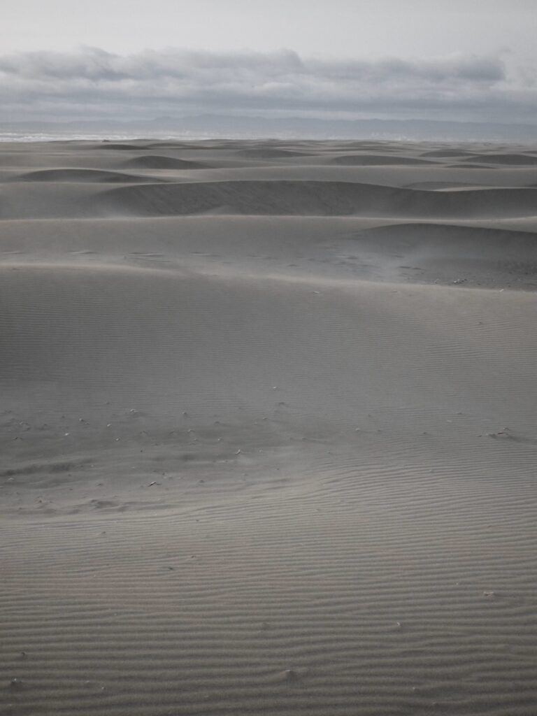 Dunes under a cloudy sky.