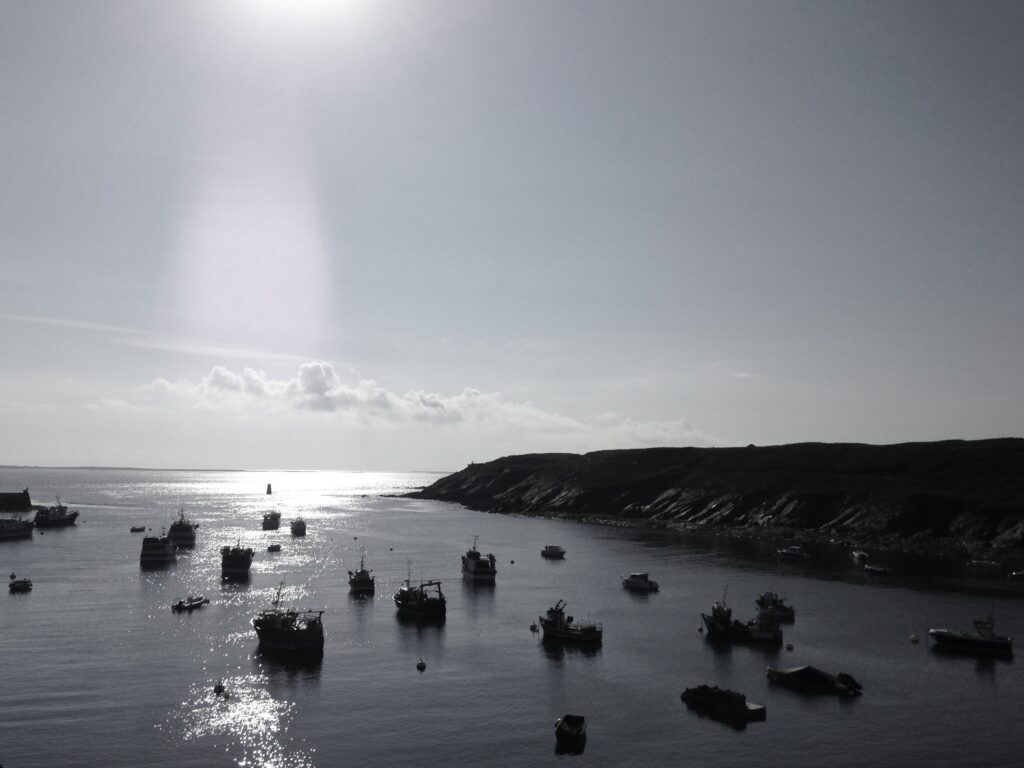 A view of a harbour by the sea, backlit, with around fifteen small boats at anchor.